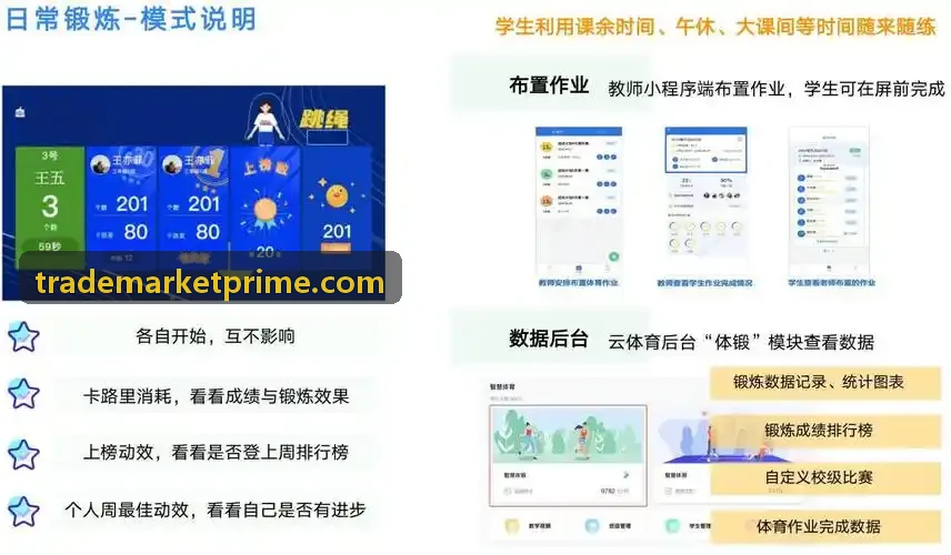 Bybit架构与延迟测评